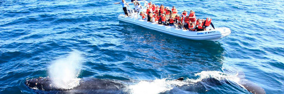 GUERRERO NEGRO